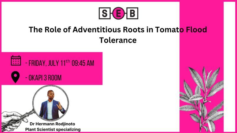 SEB-Hermann AI vs Academia A Battle for Banishment or Symbiosis